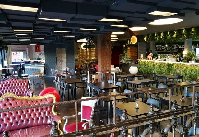 Gecko23 Milano