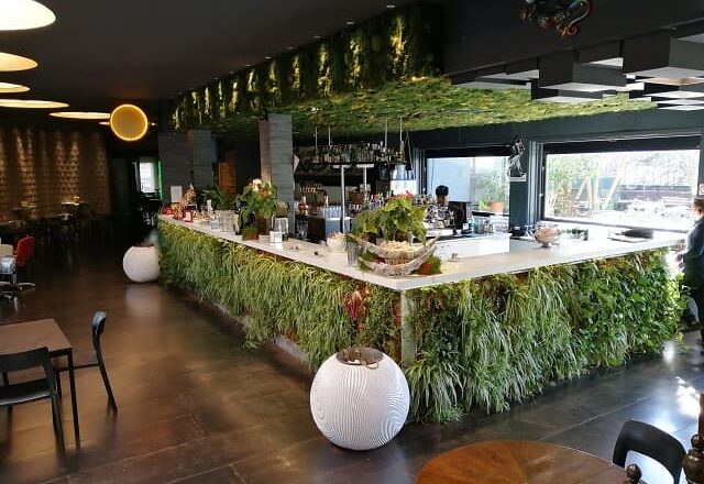 Gecko23 Milano