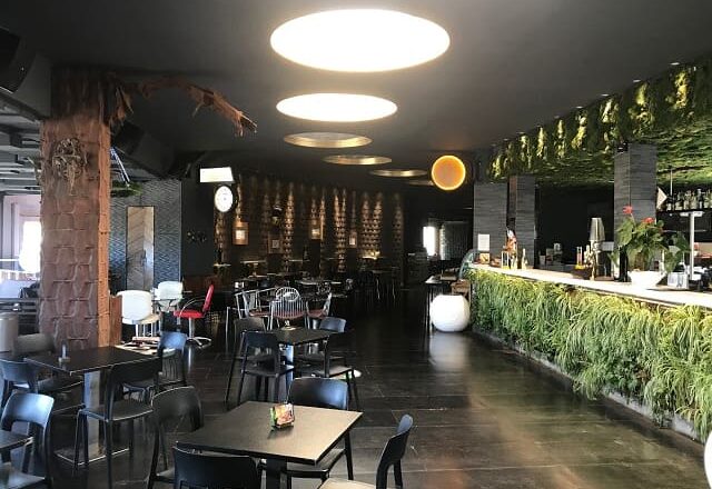 Gecko23 Milano