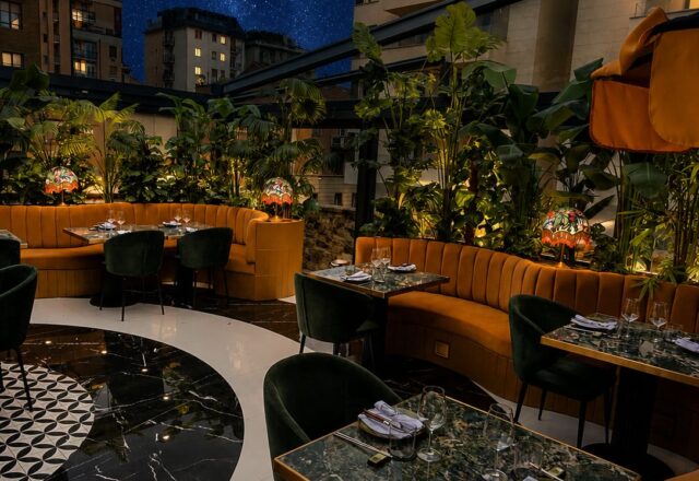 THE ROOF 14